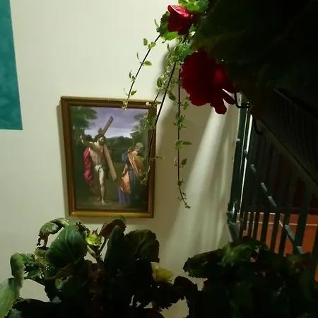 Bolonja Apartamento *